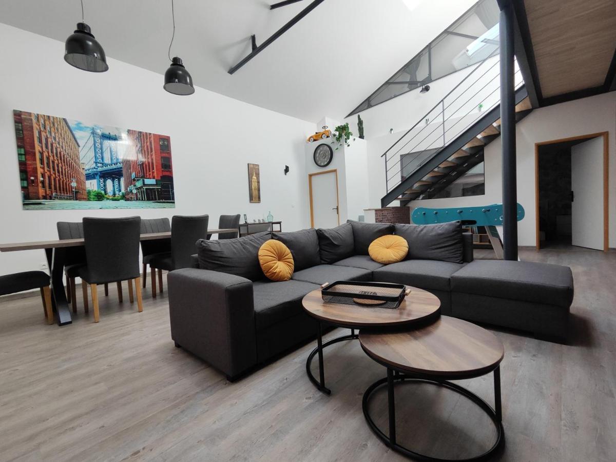 O Loft - 3 Chambres Avec 3 Salles De Bains - Parking - Climatisation 阿尔比 外观 照片
