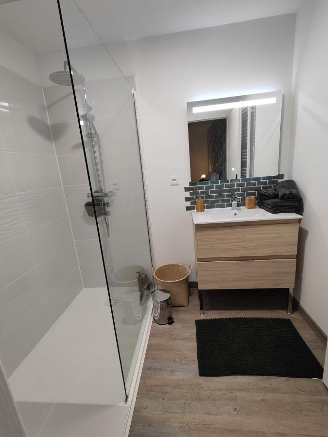 O Loft - 3 Chambres Avec 3 Salles De Bains - Parking - Climatisation 阿尔比 外观 照片