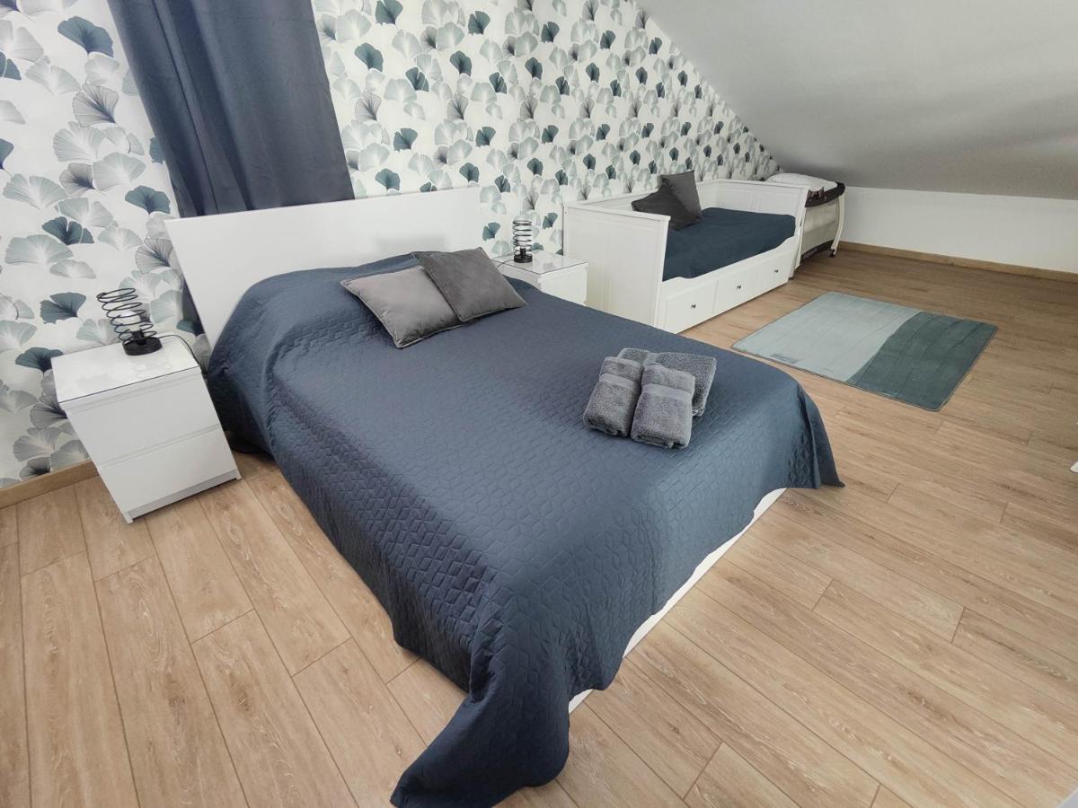 O Loft - 3 Chambres Avec 3 Salles De Bains - Parking - Climatisation 阿尔比 外观 照片