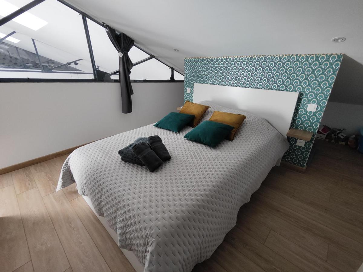 O Loft - 3 Chambres Avec 3 Salles De Bains - Parking - Climatisation 阿尔比 外观 照片
