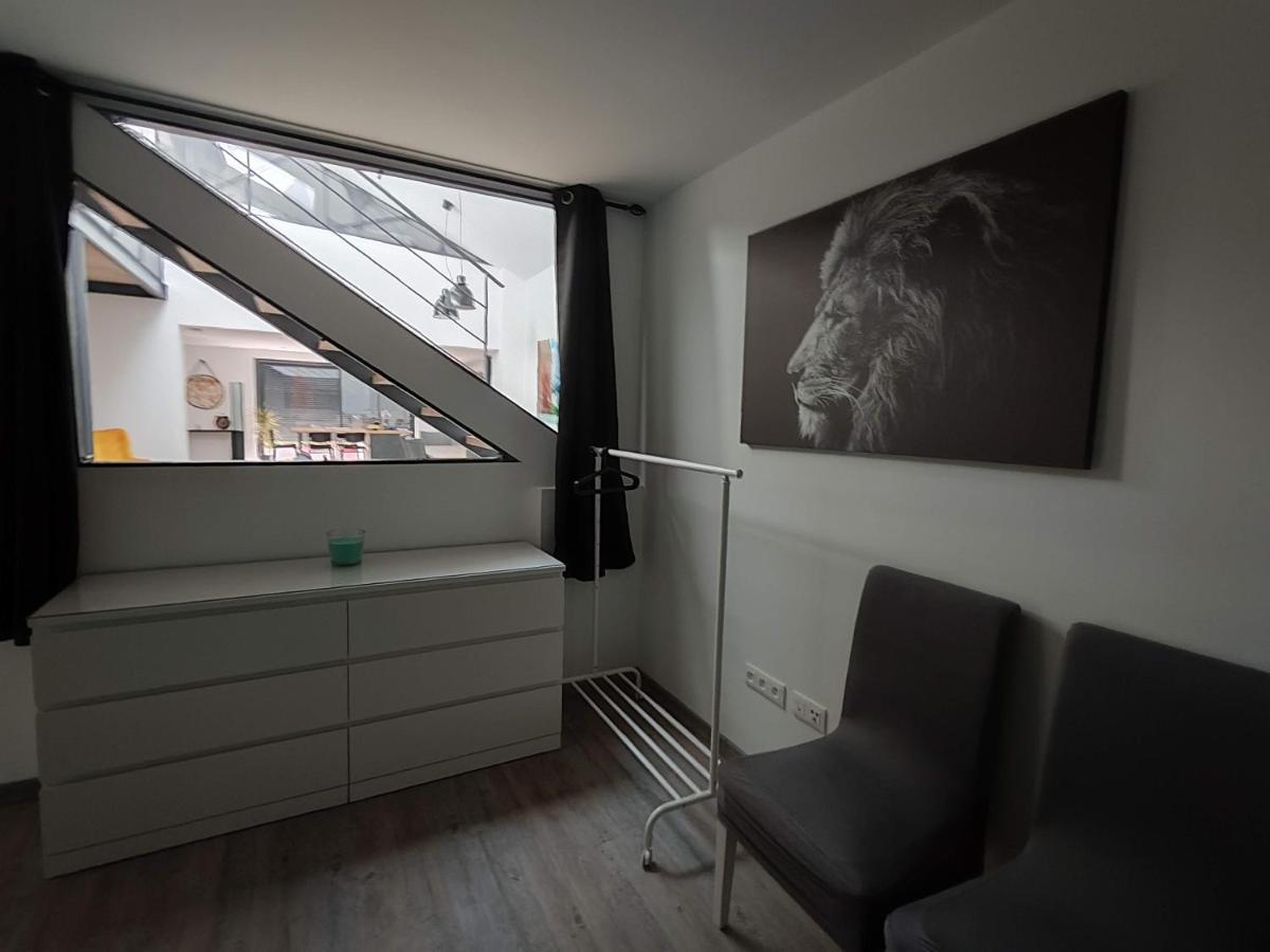 O Loft - 3 Chambres Avec 3 Salles De Bains - Parking - Climatisation 阿尔比 外观 照片