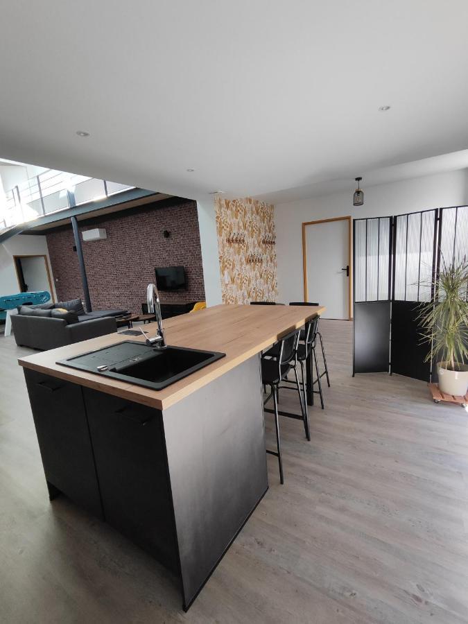 O Loft - 3 Chambres Avec 3 Salles De Bains - Parking - Climatisation 阿尔比 外观 照片